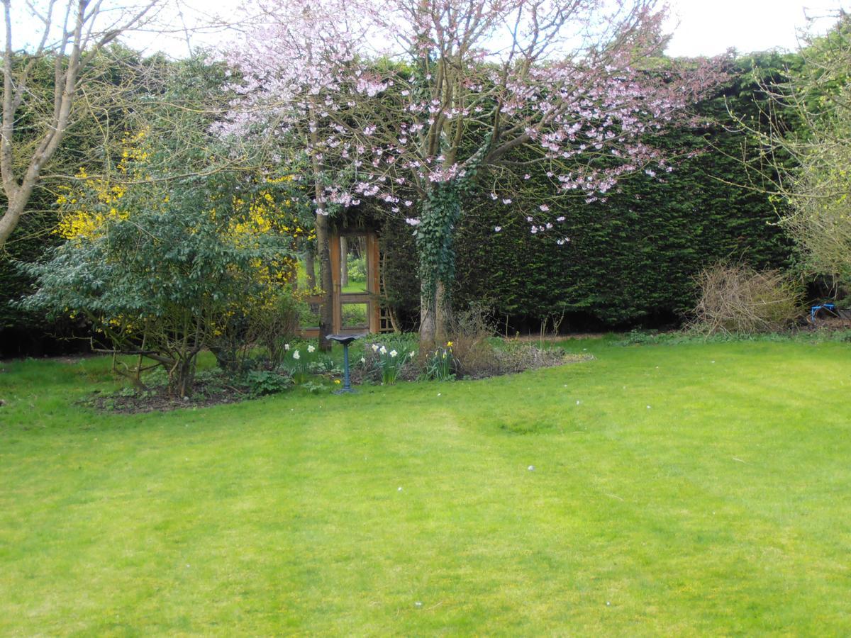 Castle View Rooms Castle Hedingham ภายนอก รูปภาพ